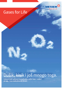 Dokument