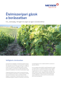 https://www.messer.ba/documents/3263100/3857045/%C3%89lelmiszeripari+g%C3%A1zok+a+bor%C3%A1szatban.pdf/ee4f0846-e683-13bf-7698-edd18c73a787?version=1.0&t=1756734234117&documentThumbnail=1