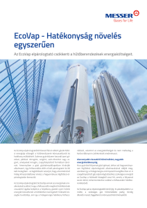 https://www.messer.ba/documents/3263100/3857632/EcoVap+-+hat%C3%A9konys%C3%A1g+n%C3%B6vel%C3%A9s+egyszer%C5%B1en.pdf/12553845-b7a3-5383-09e7-a6a348b154b5?version=1.0&t=1756733673357&documentThumbnail=1